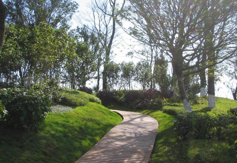 園林景觀工程可以解決的問題有哪些?