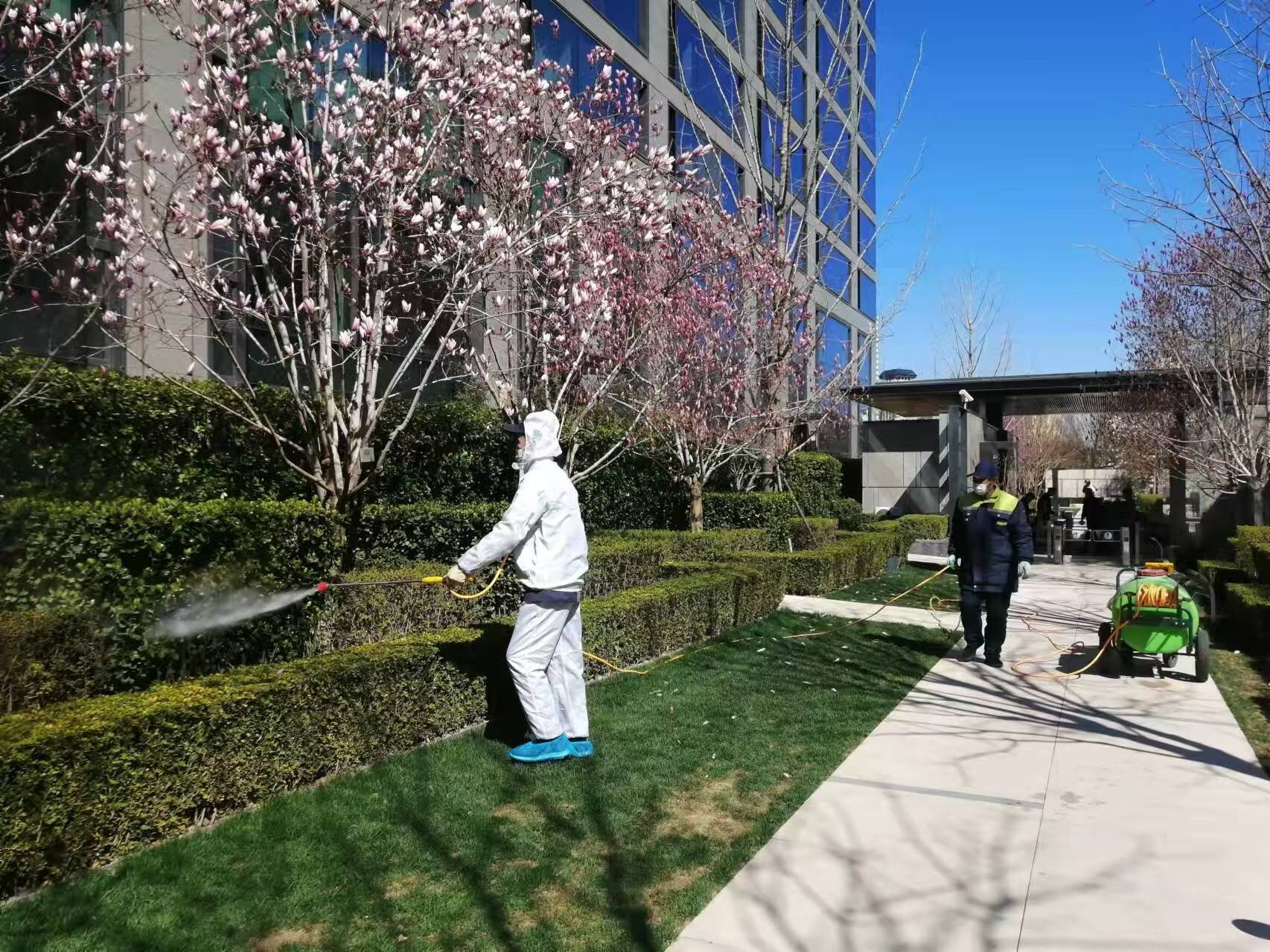 北京春季園林綠化養護之要點